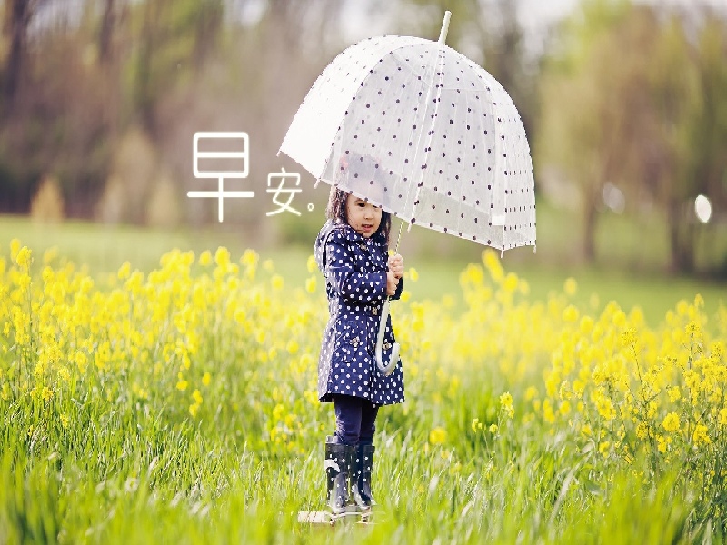 试管移植子宫憩室,试管肝素隔天打